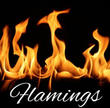 FLAMINGS